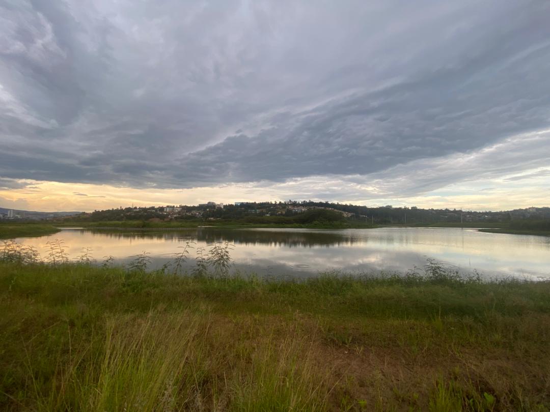 WhatsApp Image 2026-03-17 at 05.29.09 (1).jpeg